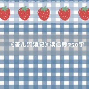 《苦儿流浪记》读后感250字